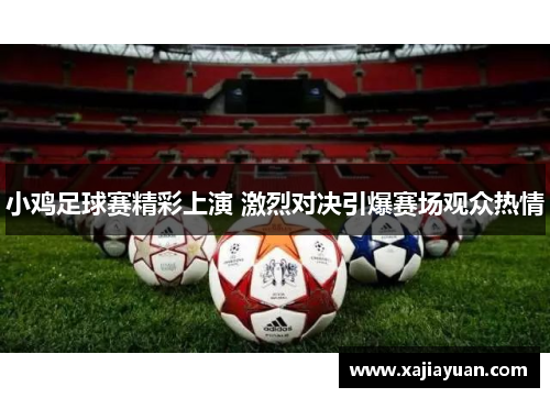 小鸡足球赛精彩上演 激烈对决引爆赛场观众热情